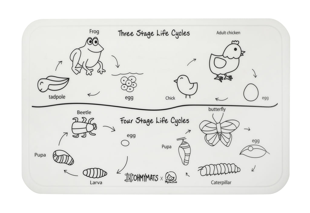 #ohmymats Life Cycles - Large Reuseable Colouring & Dining Place Mat (KOREA)